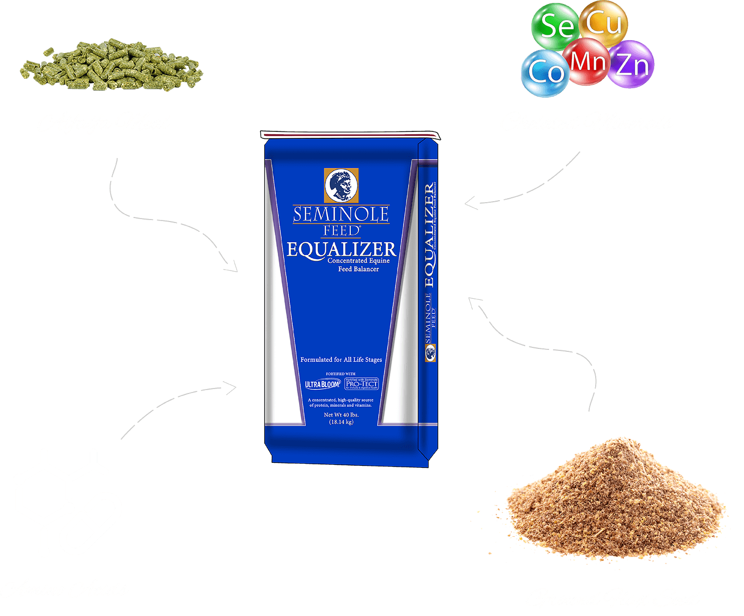 Seminole Feed The World's Best Equine Feeds, since 1934!