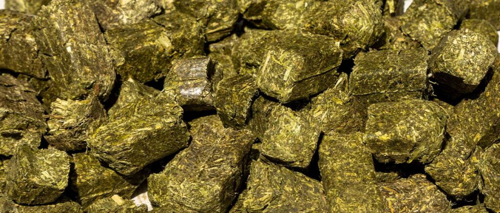 Alfalfa Cubes For Horses