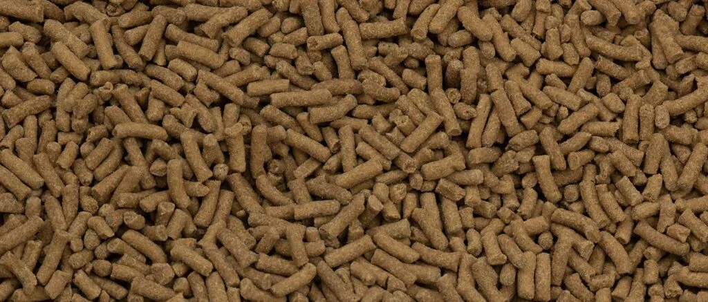 The Benefits of Rice Bran in Horse Feed - Seminole Feed
