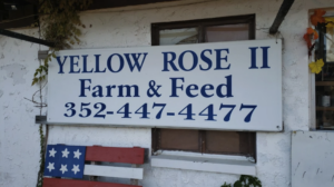 Yellow Rose II Front Entrance