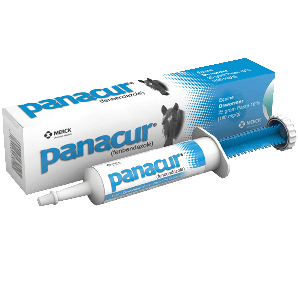 Panacur Paste Dewormer, 25 gm. Seminole Feed