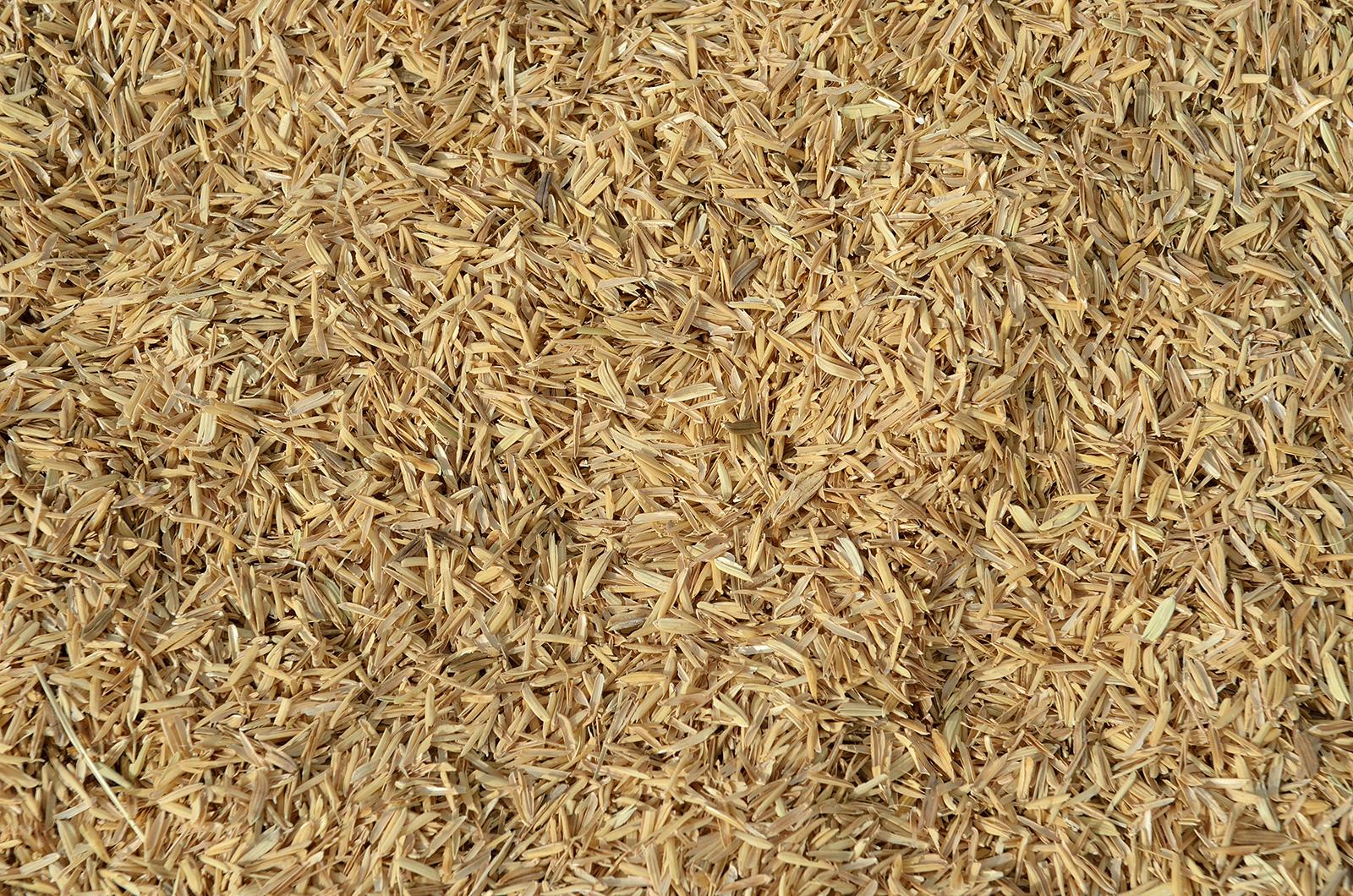 rice bran in horse feed